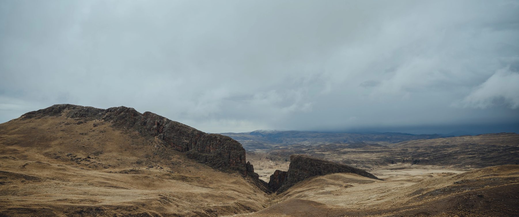 Sustainability Reports