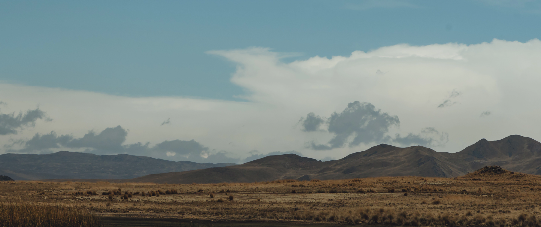 Environmental Commitment