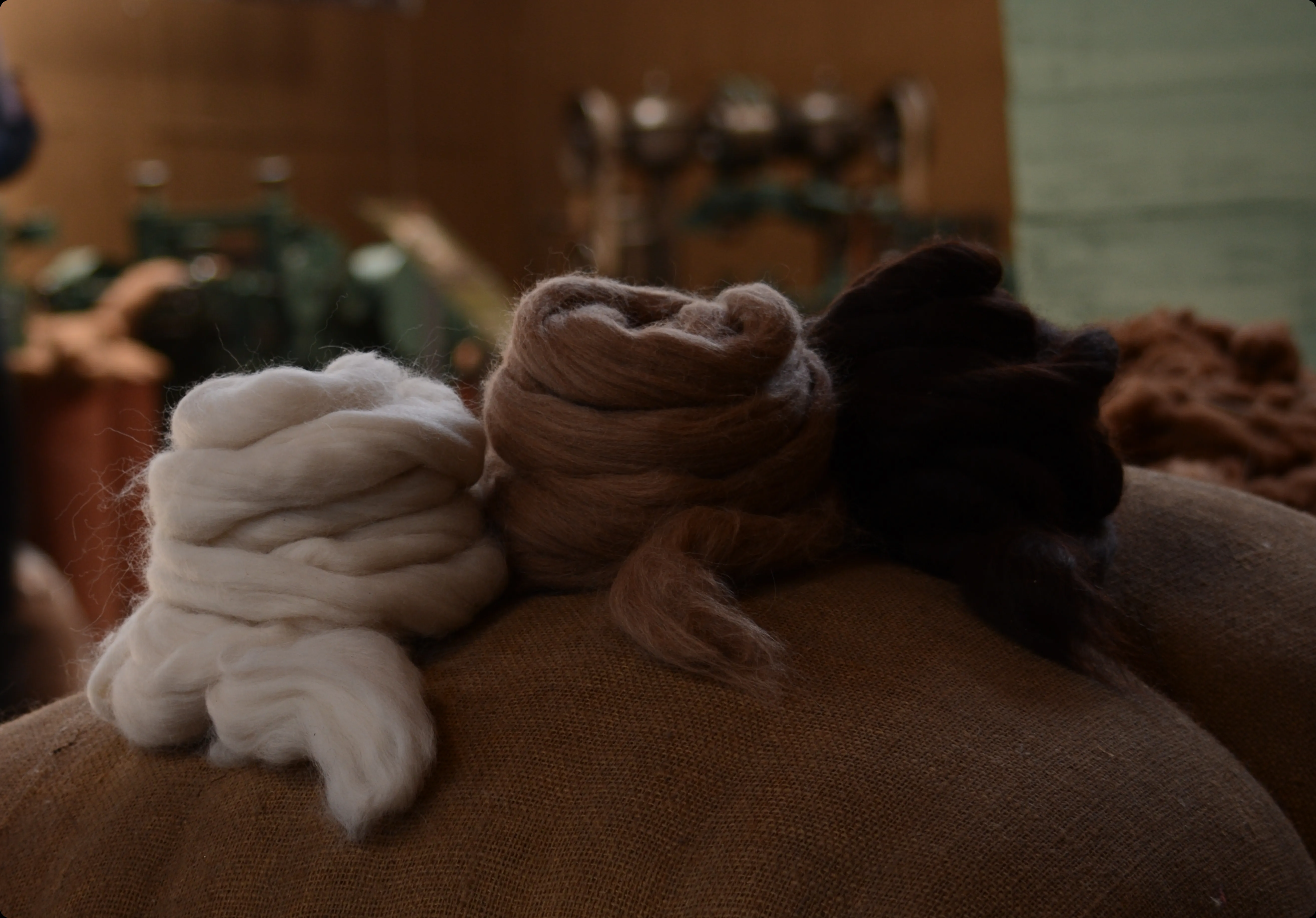 Alpaca Top Collection